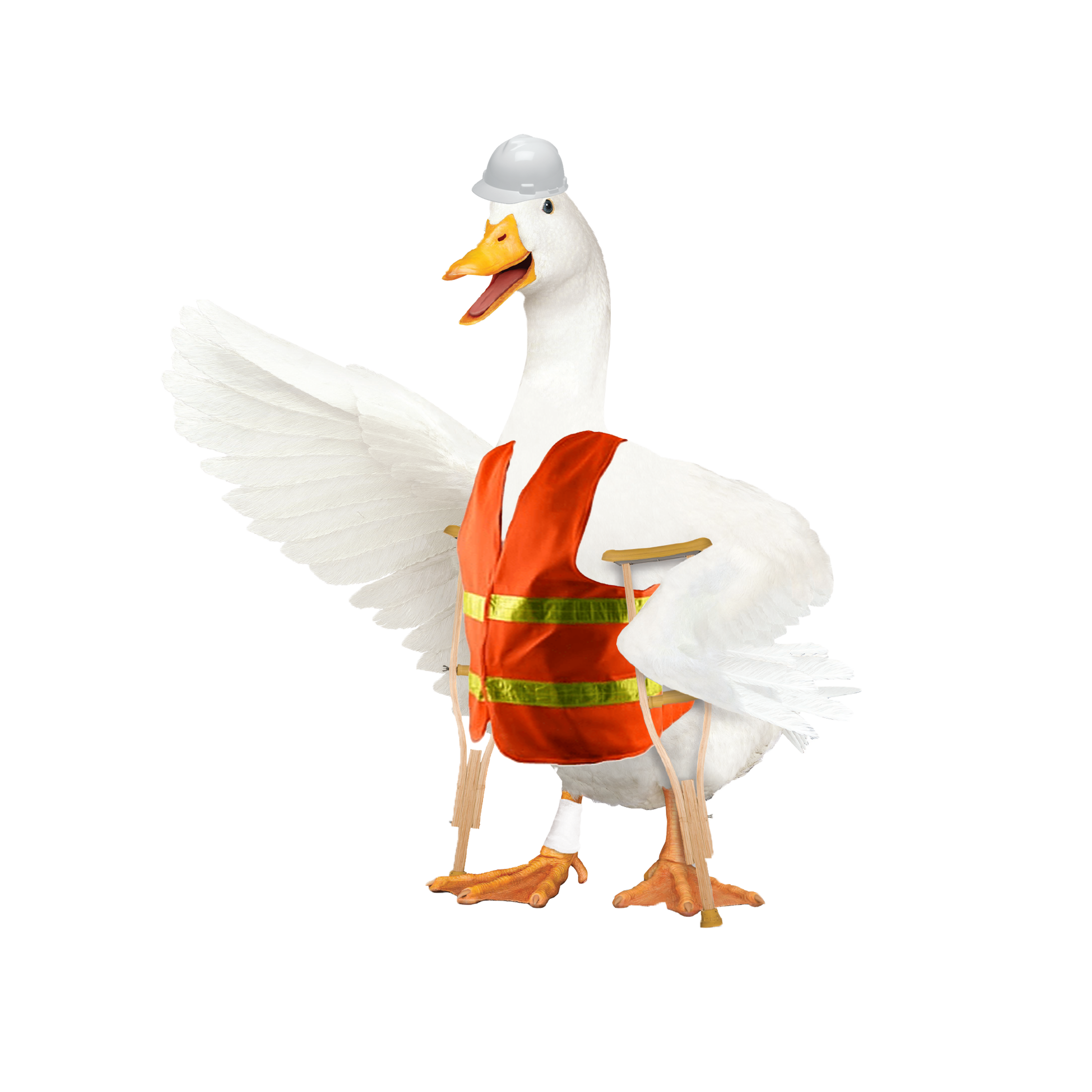 Aflac Ducks-02-3