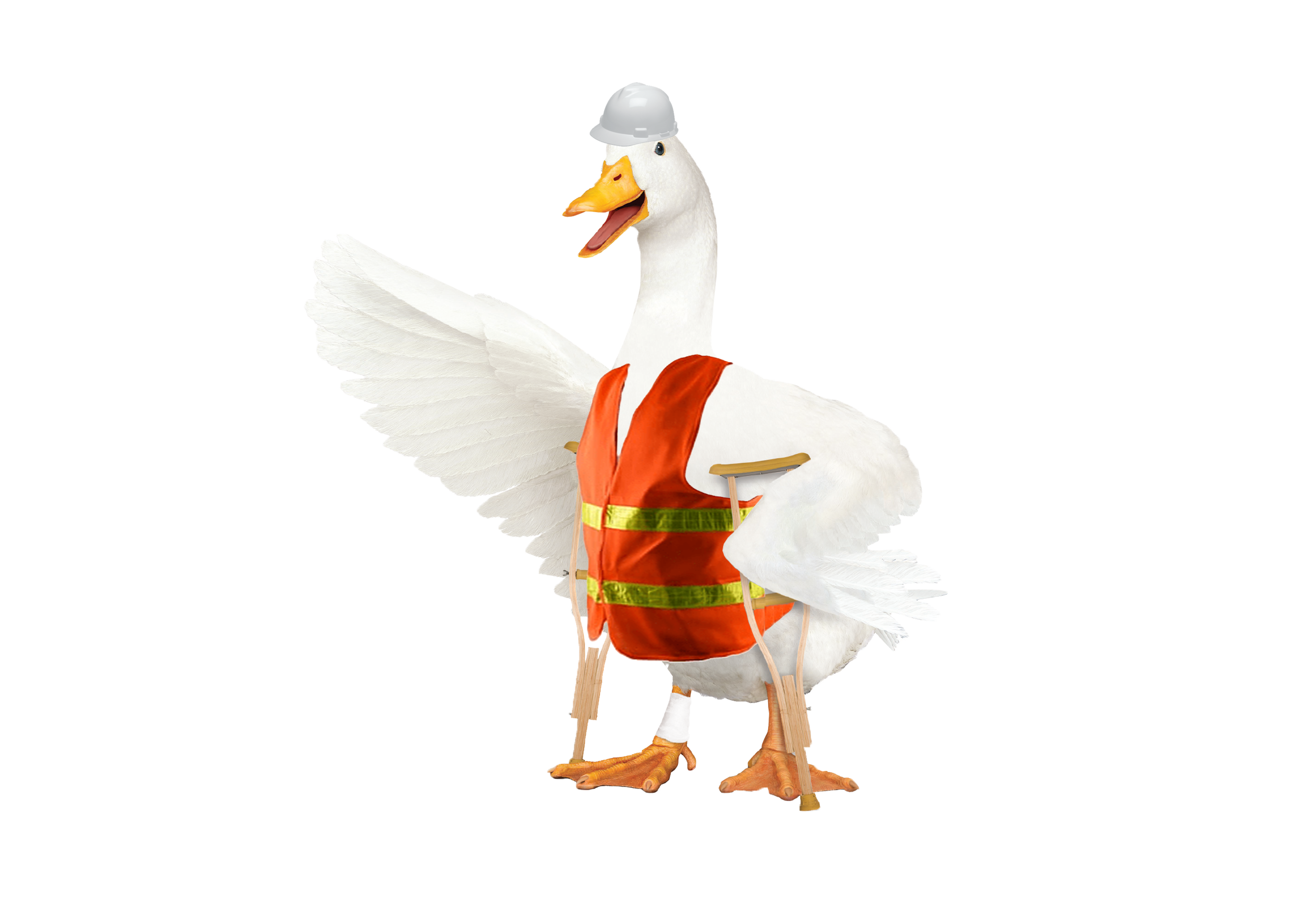Aflac Ducks-02-3