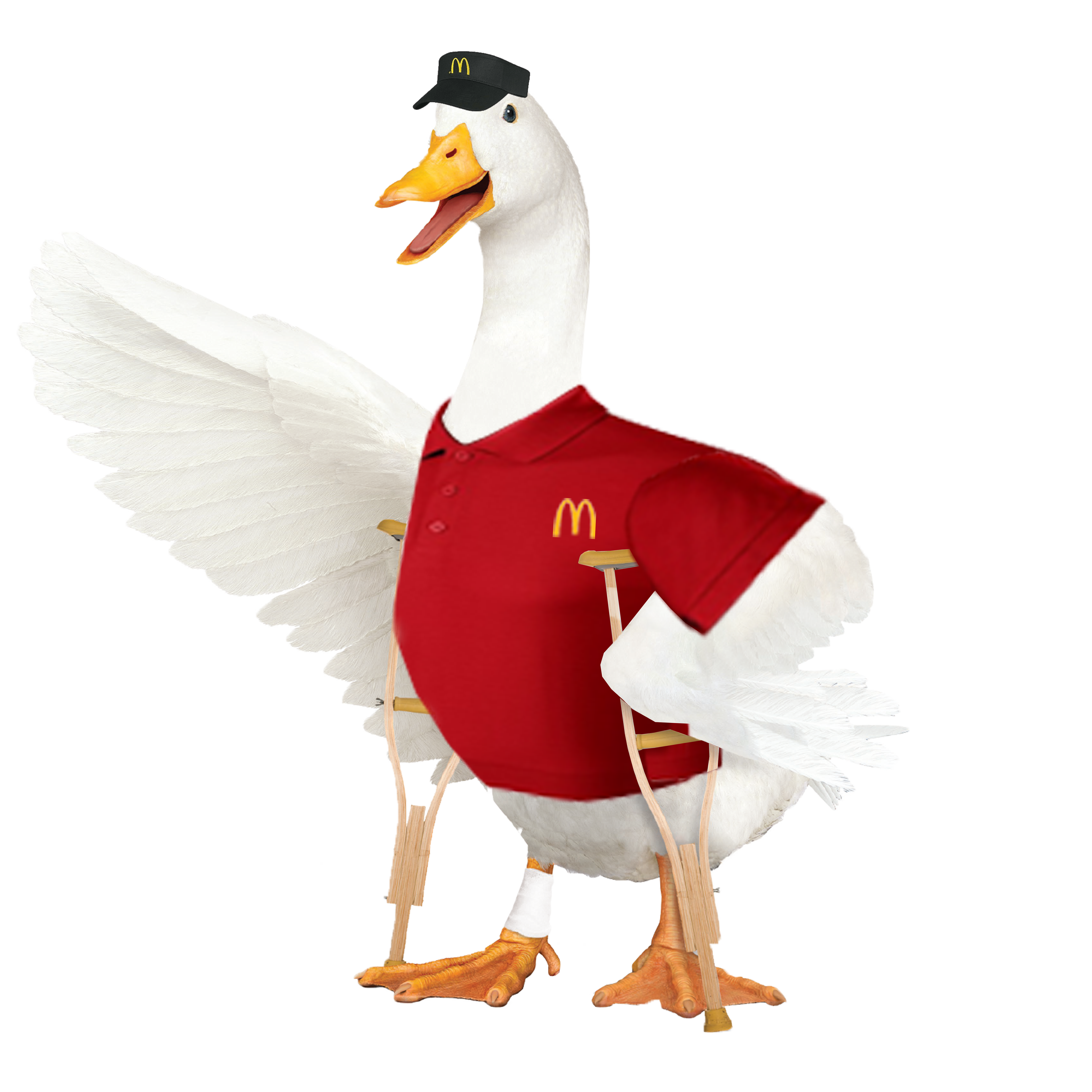 Aflac Ducks-02