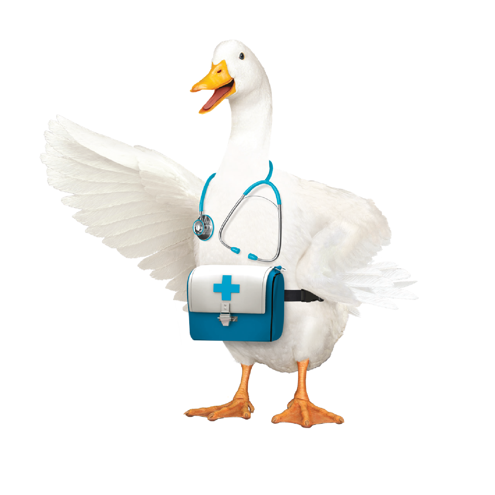 Aflac Ducks-ACC