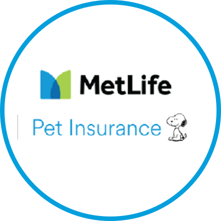 Pet insurance